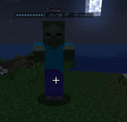 Mob armour + health