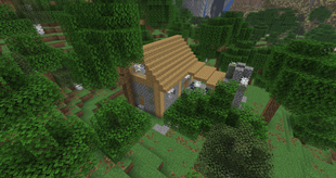 Custom Structure