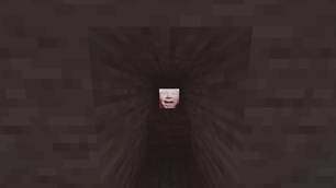 23872872187