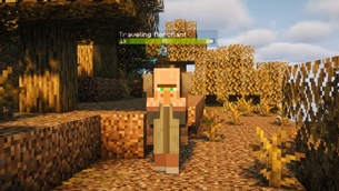 Traveling Merchant