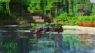 Ducks