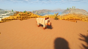 Red Sand Wolf