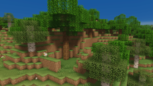 forest