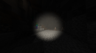 1st person view