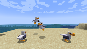 Seagulls