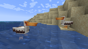 Pelicans