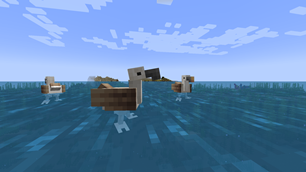 Albatrosses