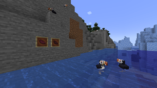 Puffins