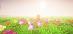 1000342050.jpg
