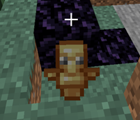 image11.png