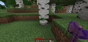 Chop Custom Texture.png