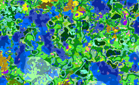 Vanilla world