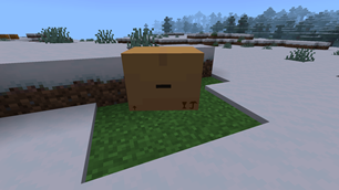 The Box