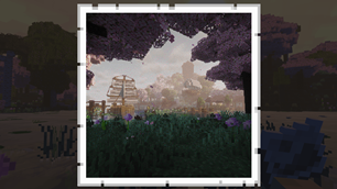 picture.png