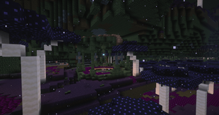 Undergarden Carousel Medium