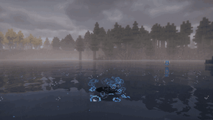Water Spot