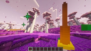 s2.jpg