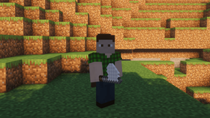 Player Holding A Bug Net.png