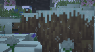 Aww, a bear covered in snow! :')