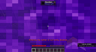 Nether portal when disabled