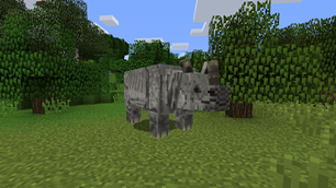 Indian Rhino