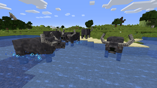Wild Water Buffalo