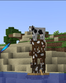 Screenshot_5.png