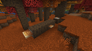 Fallen Poplar Tree