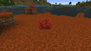 Red Shrub