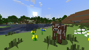 IMG_2731.png