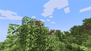 Spawn location for sugar gliders.png