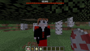 Georg (Boss)