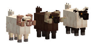 image-Photoroom_20.png
