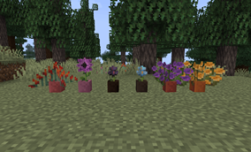 Flowers in Dyed Flower Pots!