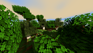 Image of the shader