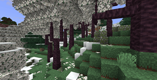 A Peaceful Snowblossom Grove