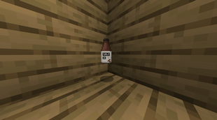 Bottle of soylent