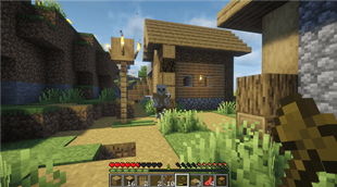 Infected villages