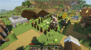 Infected village