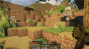 Infected villagers