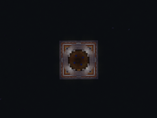Bird View.png