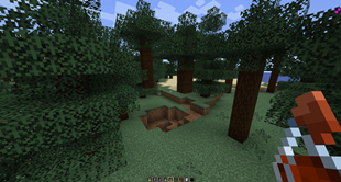 Explosion Potion