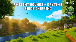 Forest Morning