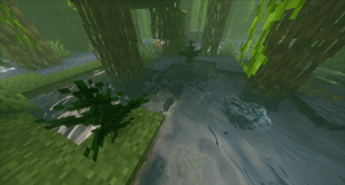 Royal Fern