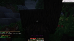 skill_levelup.jpeg