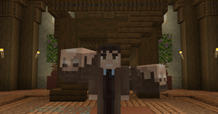 2nd Regeneration