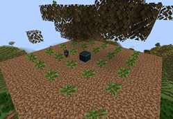 Screenshot 2026-07-02 202856.png