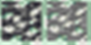 create_combined_bottom.png