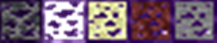 draconicevolution_combined_bottom.png