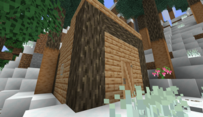 Pine Hut with a Pine Window